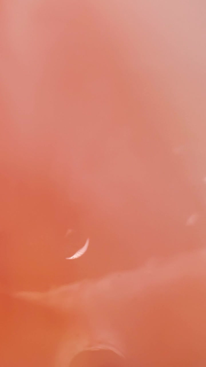 Stock Footage Vibrant Pink Abstract Water Viewed In Detail Live Wallpaper - Free Download