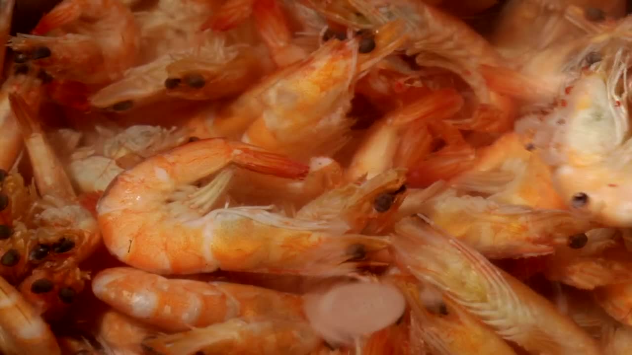 Free Stock Video Shrimp In Boiling Water Live Wallpaper - Free Download