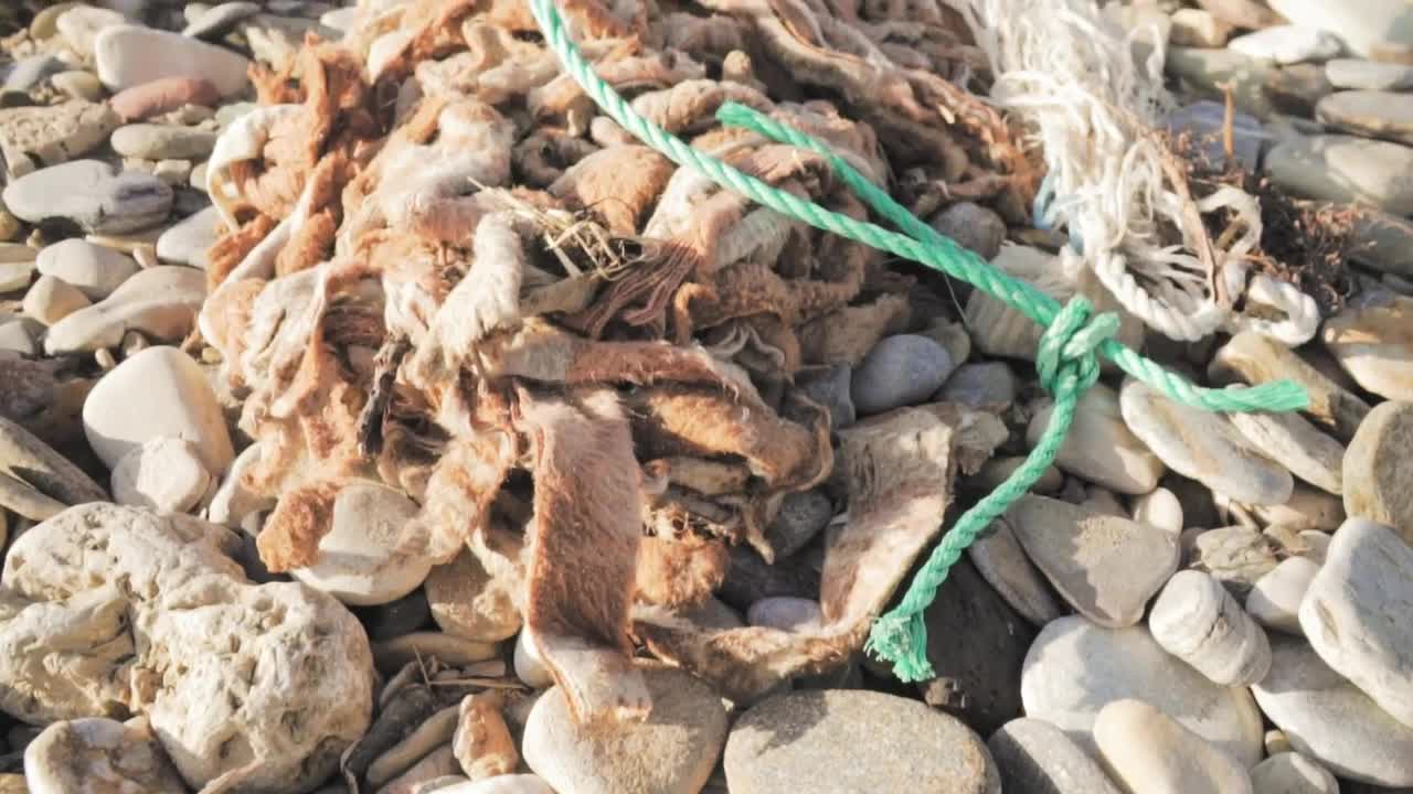 Stock Video Garbage Thrown In Nature Live Wallpaper For PC - Free Download