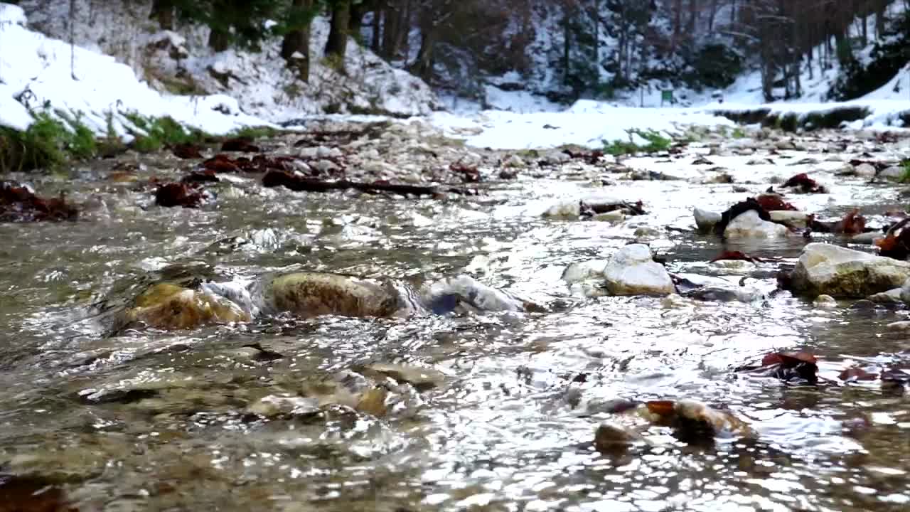 Stock Video Creek In A Snowy Forest In Slow Motion Live Wallpaper For PC - Free Download