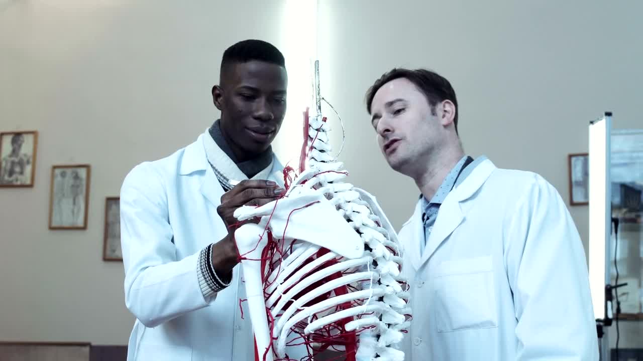 Stock Video Medical Students Learning With Dummy Skeleto Animated Wallpaper - Free Download
