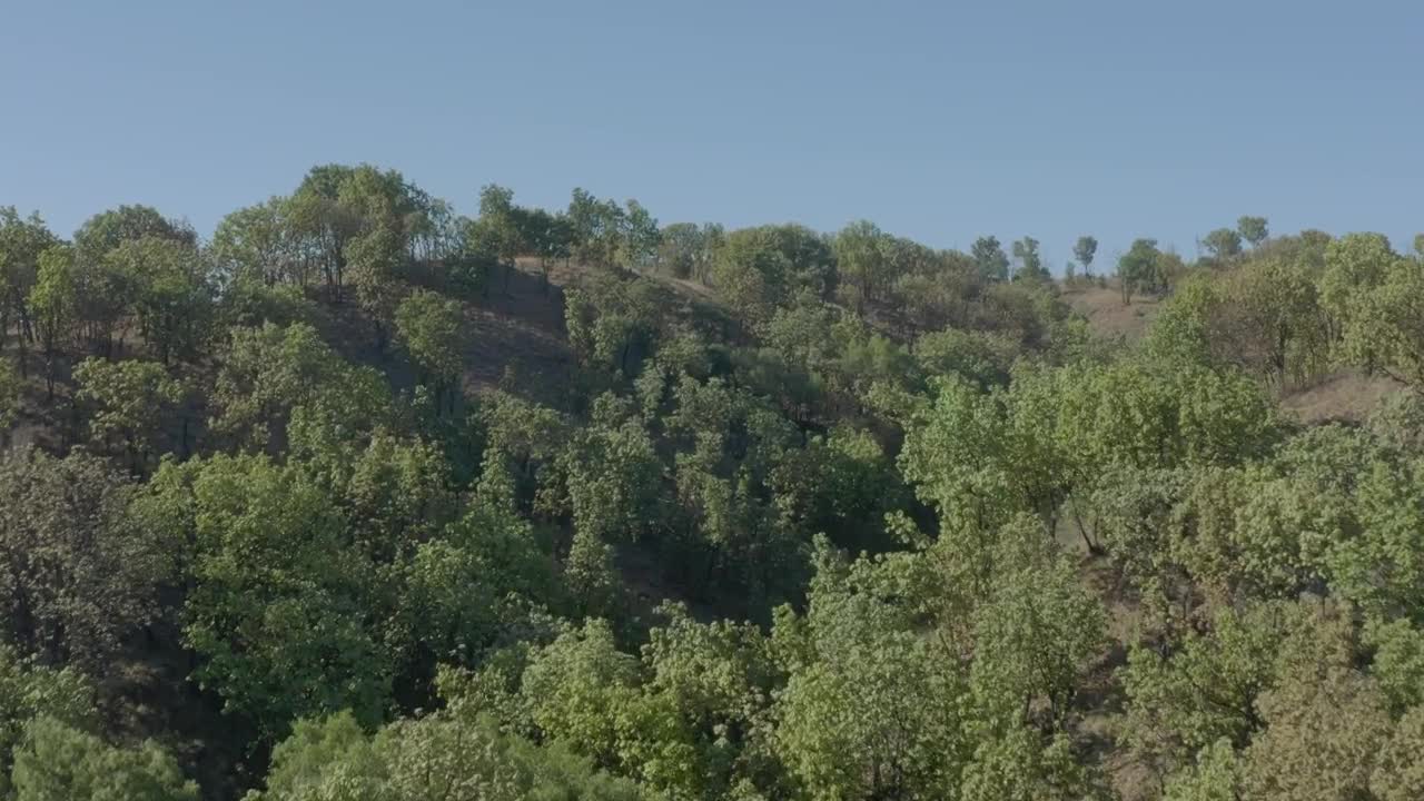 Stock Video Flying Through A Landscape Covered With Hills And Trees Live Wallpaper For PC - Free Download