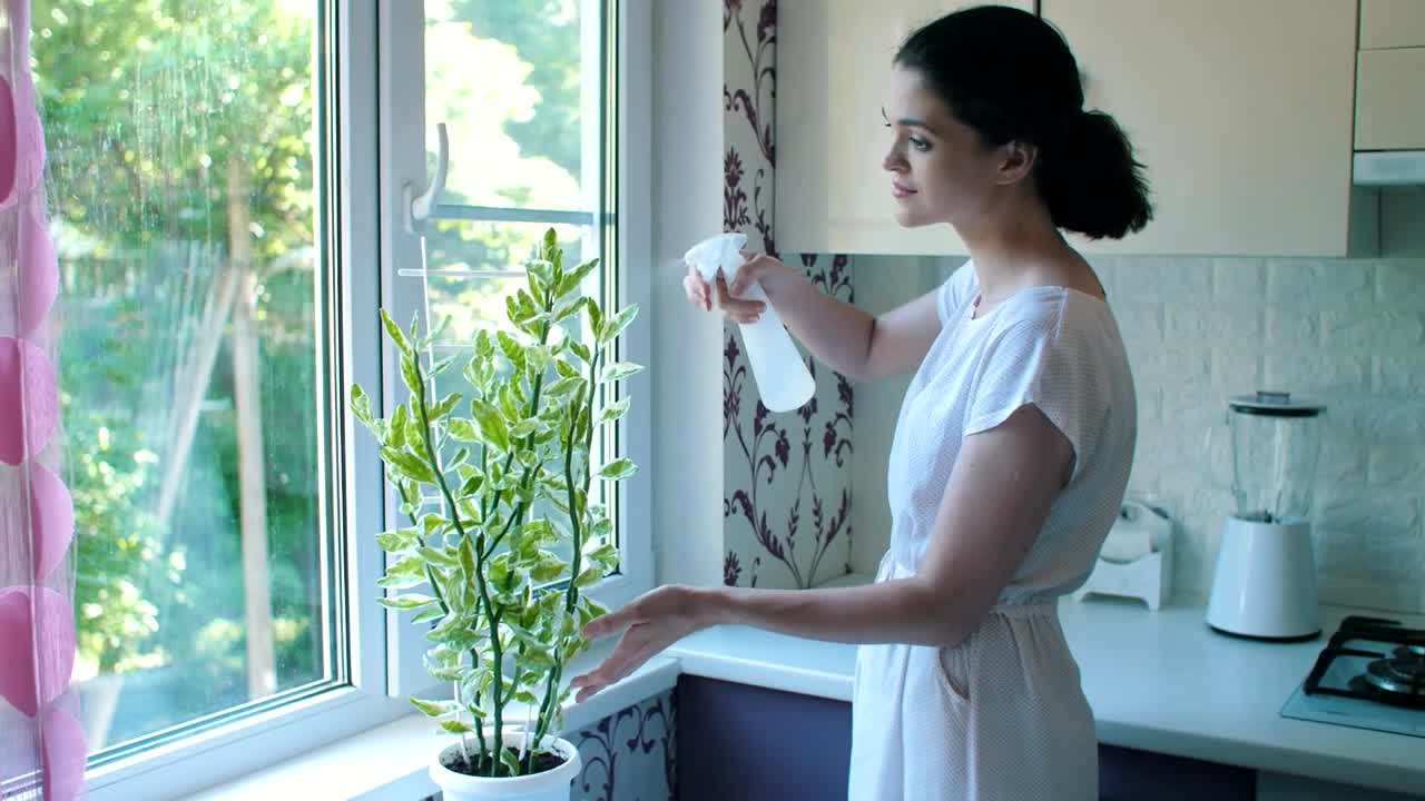 Free Stock Video Woman Watering A Plant In Her Kitchen Live Wallpaper - Free Download