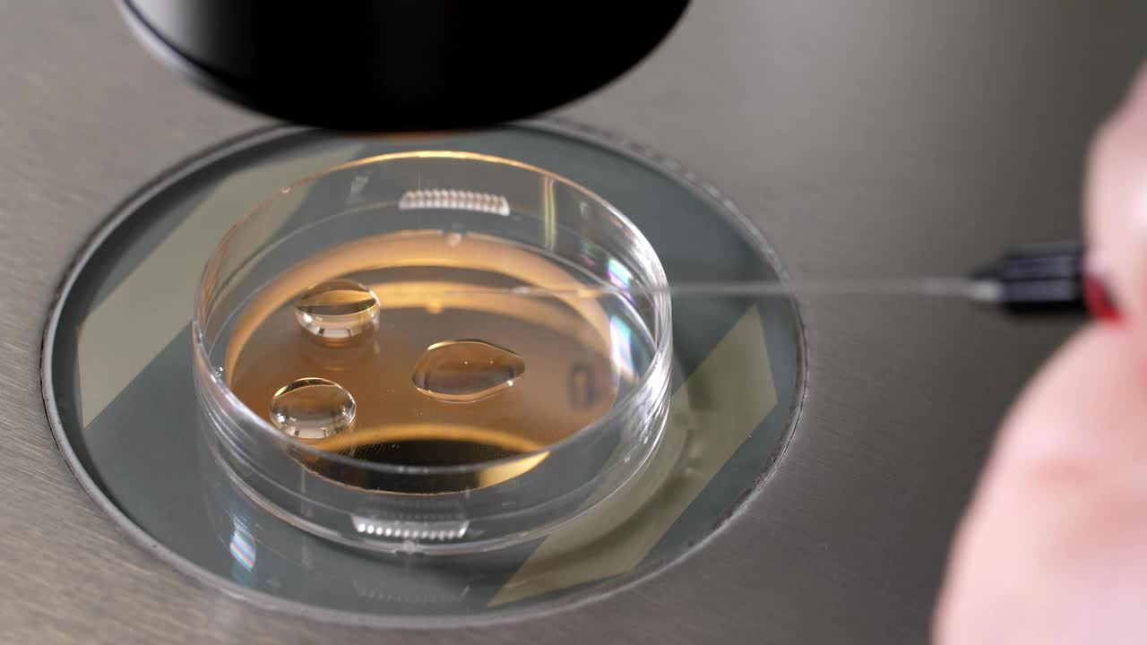 Free Stock Video Scientist Working With A Pipette Live Wallpaper - Free Download