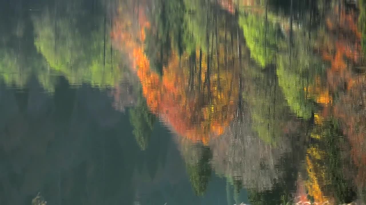 Free Stock Video Reflection Of Autumn Colors In The Lake And Forest Live Wallpaper - Free Download