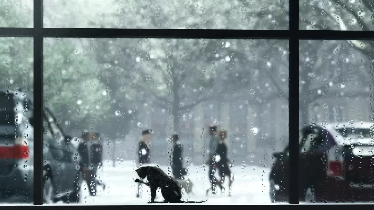 Video Stock Cat In A Window During Winter Live Wallpaper For PC - Free Download