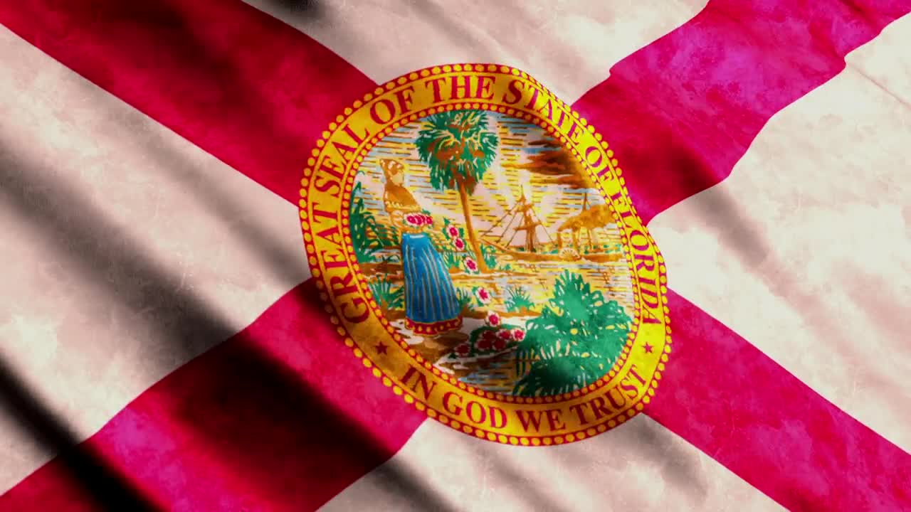 Stock Video Florida State Flag Live Wallpaper For PC - Free Download