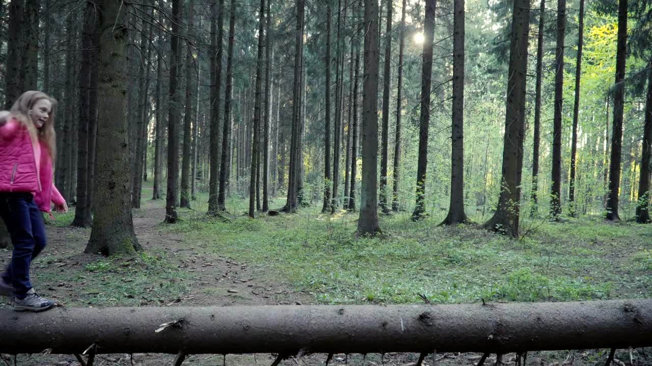 Video Stock Children Talking Along A Fallen Tree Live Wallpaper For PC - Free Download