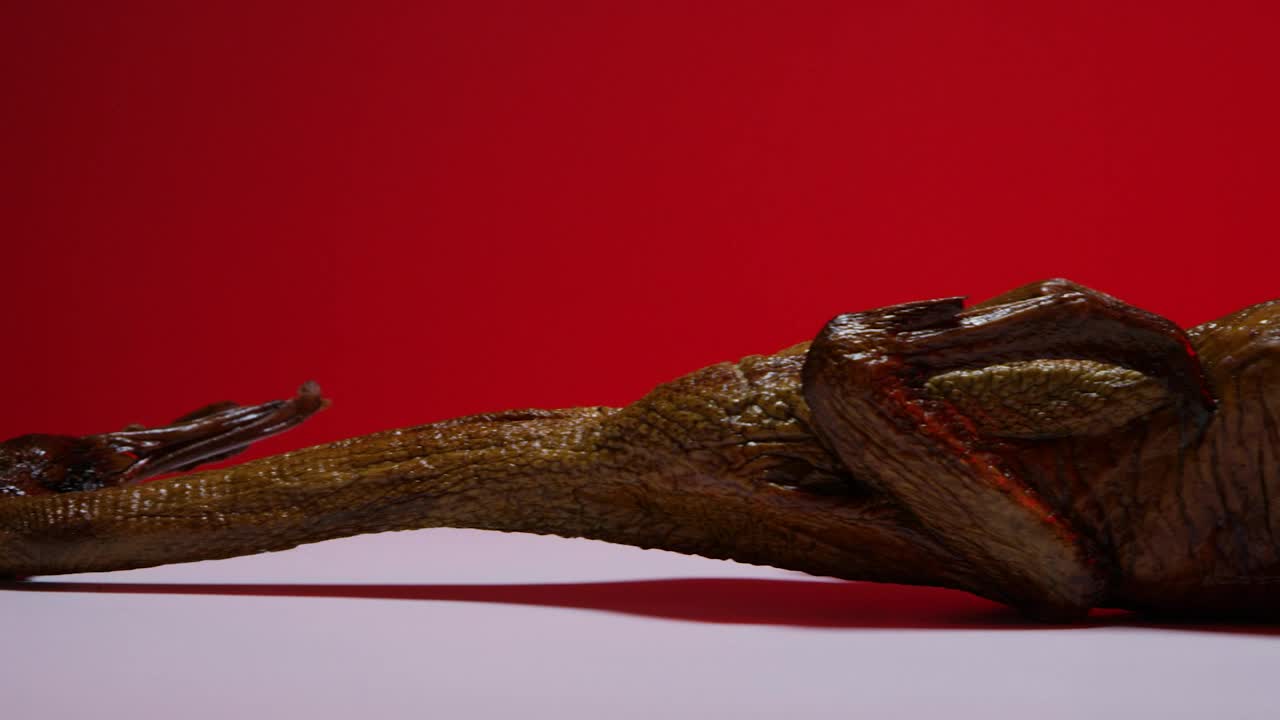 Free Video Stock Smoke Duck On A White Surface Live Wallpaper - Free Download