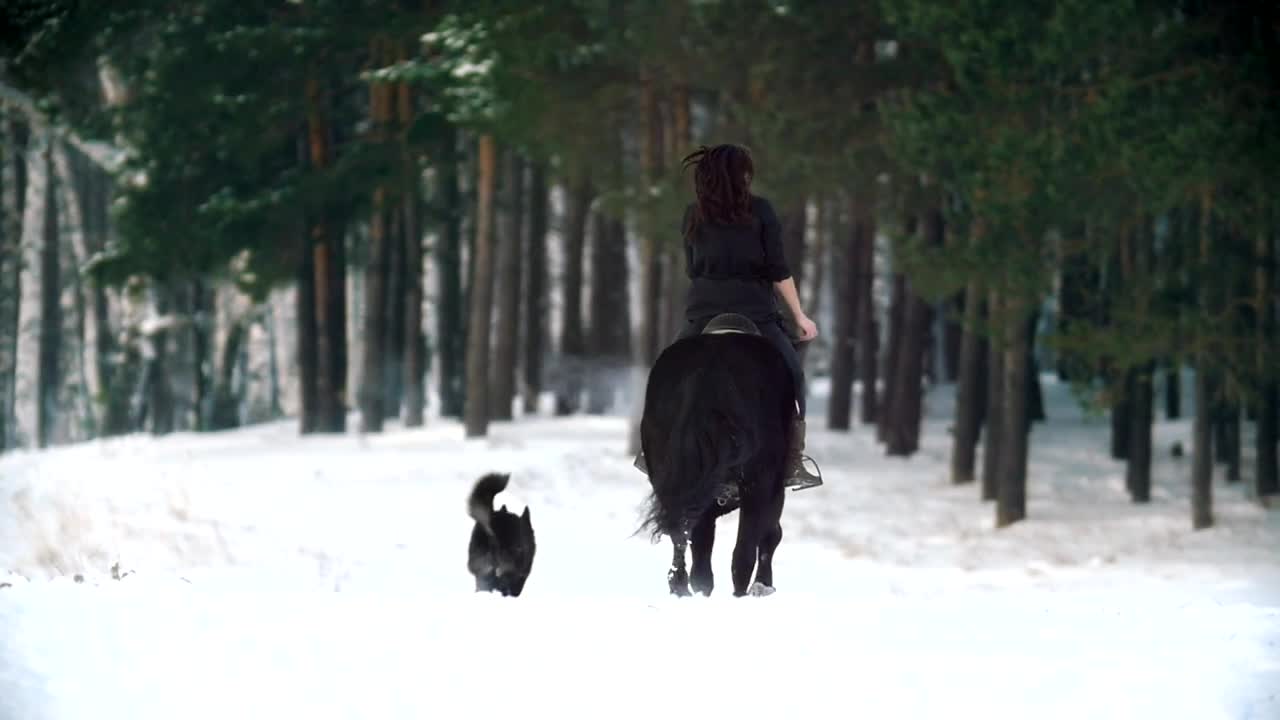 Free Stock Video Woman On A Horse Galloping Through A Snowy Forest Live Wallpaper - Free Download