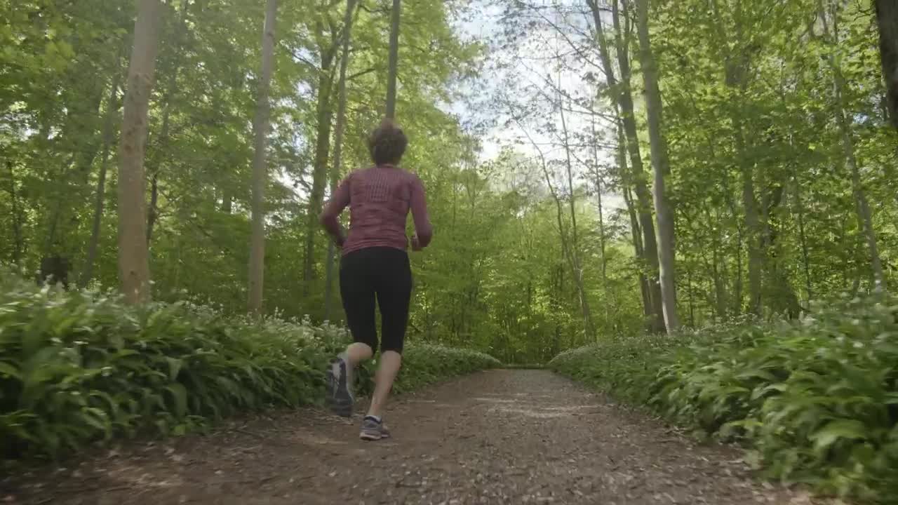 Stock Video Low Shot Of A Woman Running In The Woods Animated Wallpaper - Free Download