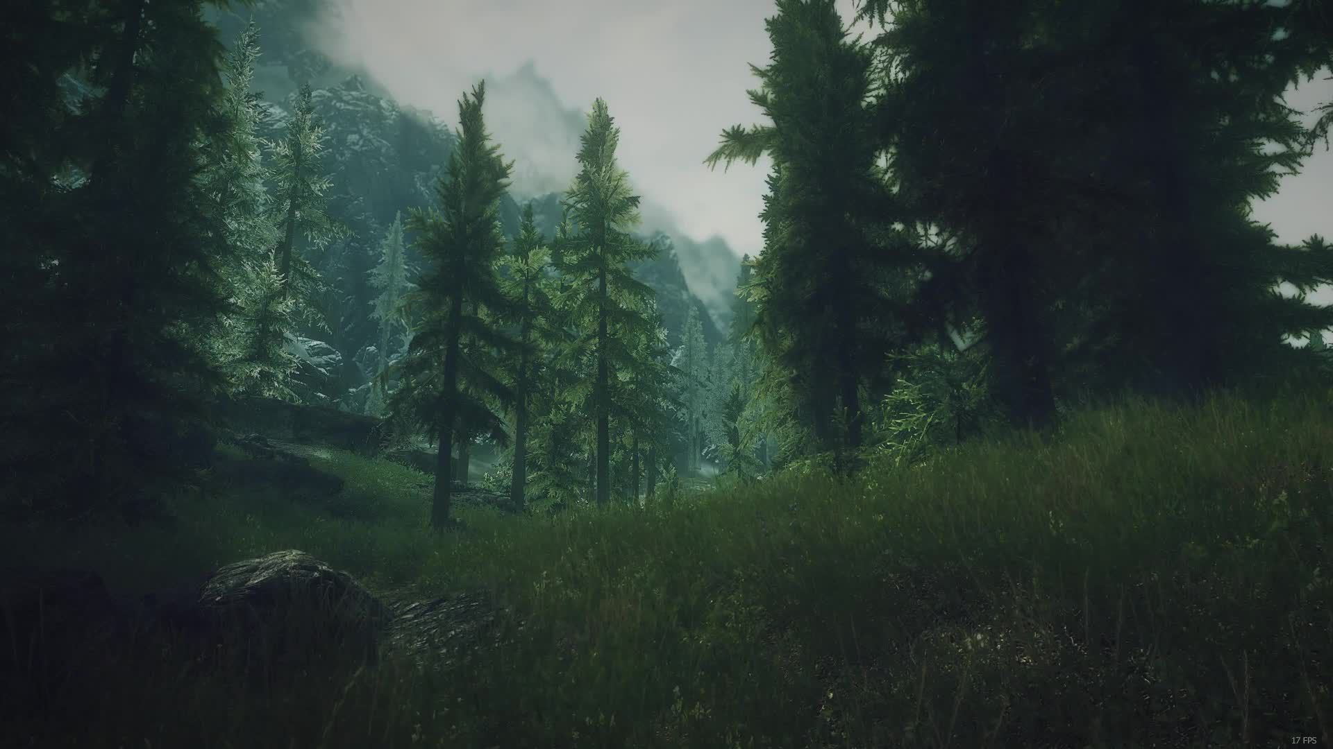 Elder Scrolls V Skyrim Nature Live Wallpaper - Free Download
