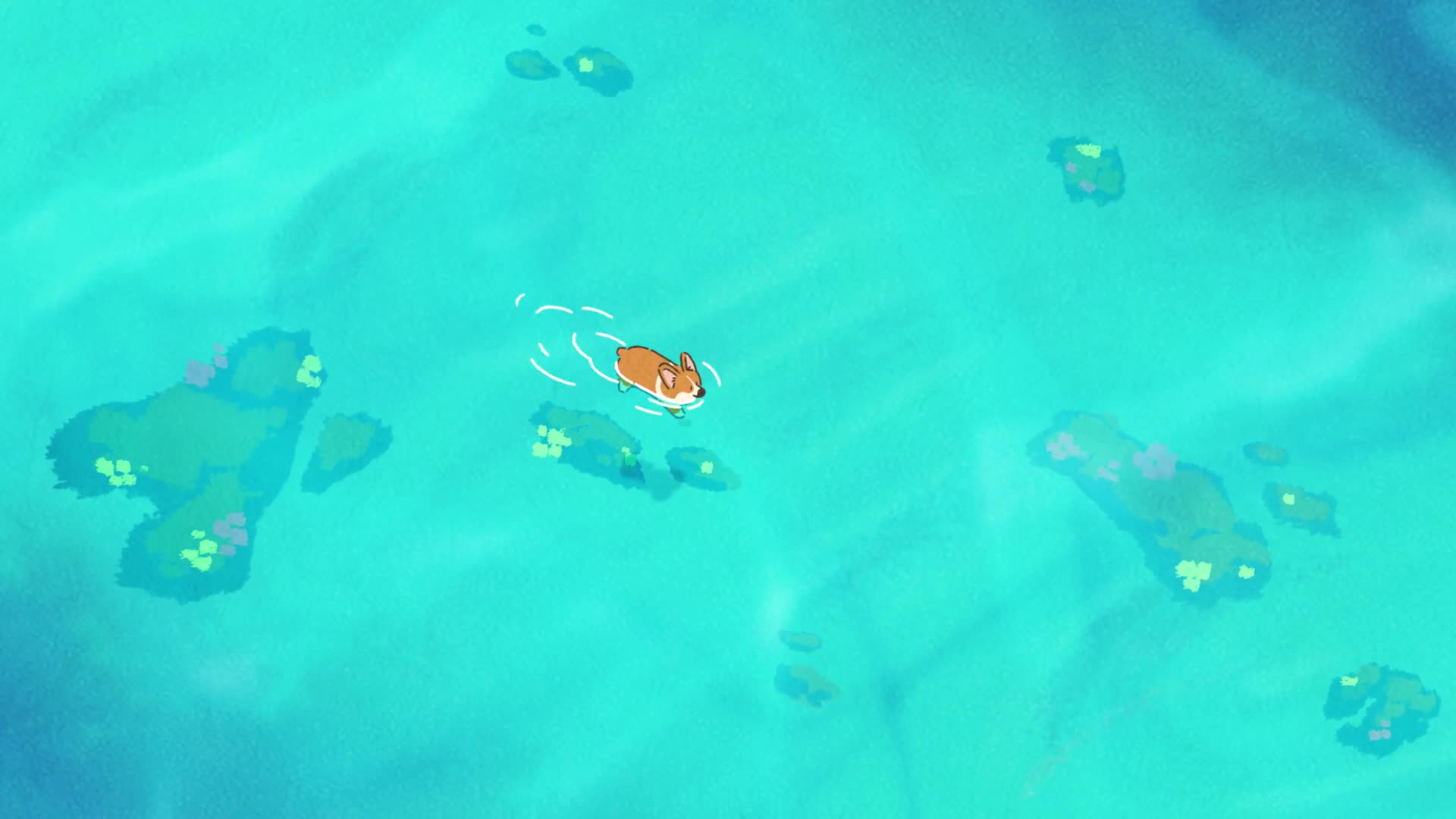 Cute Corgi Dogies Swimming Live Wallpaper - Free Download